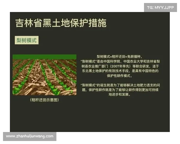 坚决遏制破坏黑土地资源犯罪加强生态保护促进可持续发展行动 坚决遏制破坏黑土地资源犯罪加强生态保护促进可持续发展行动
