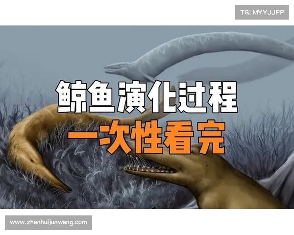 《探秘内脏鲸生态奇观 揭开海洋巨兽肠胃系统的神秘面纱》 《探秘内脏鲸生态奇观 揭开海洋巨兽肠胃系统的神秘面纱》